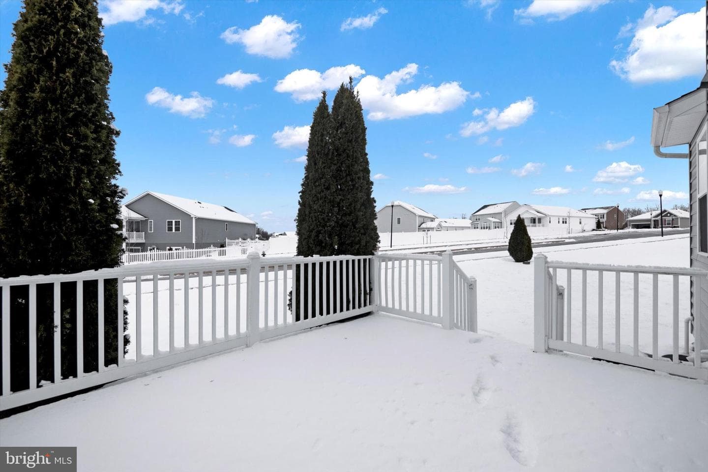 12518 Olivine Court photo 41