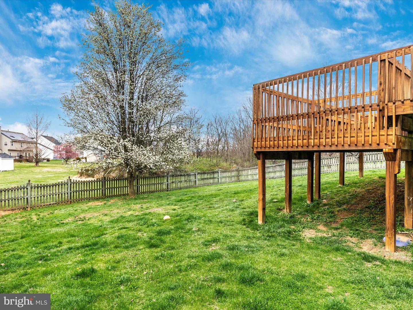 9924 Stephanie Lane photo 55