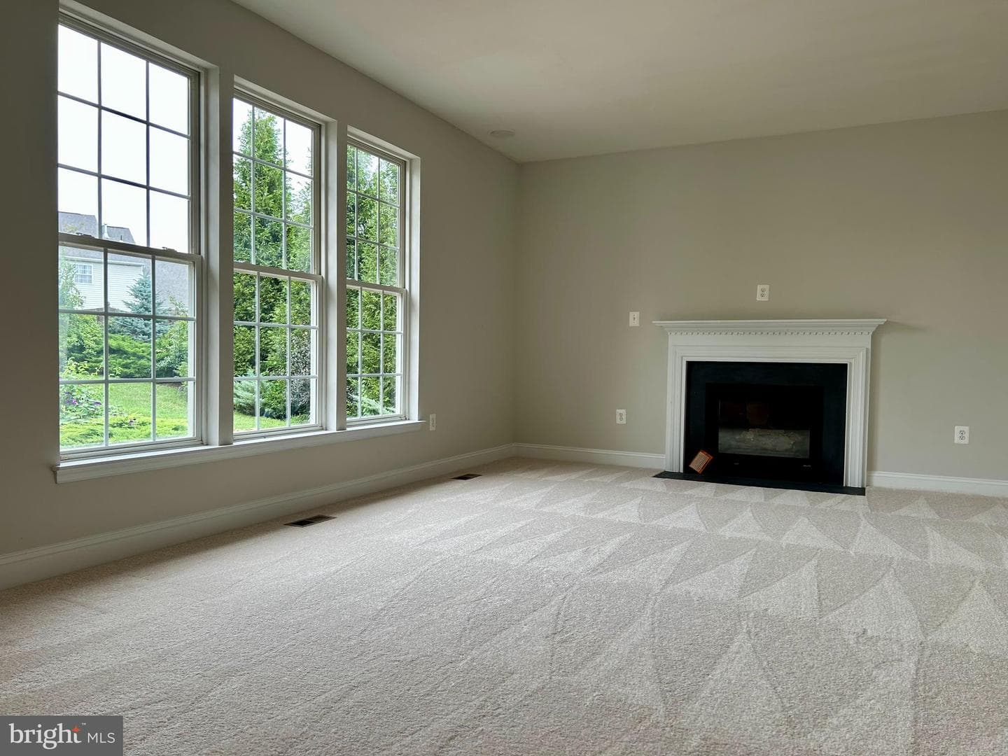 109 Conestoga Court photo 5
