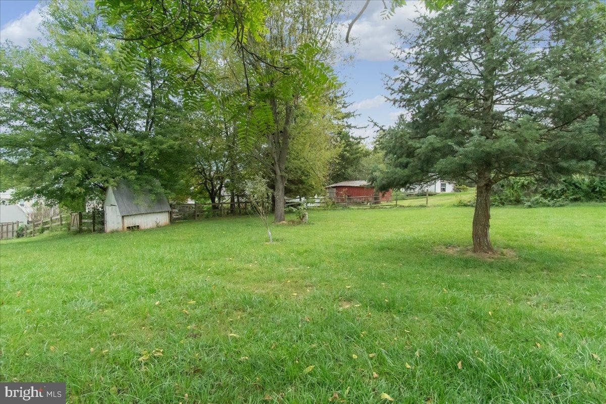 4402 Main Street photo 23