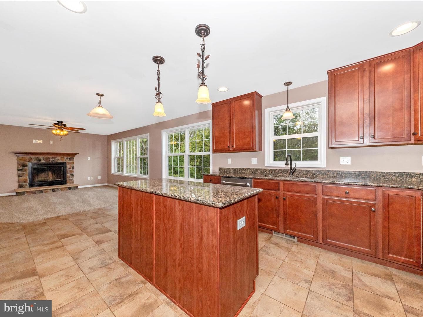 13109 Little Antietam Road photo 17