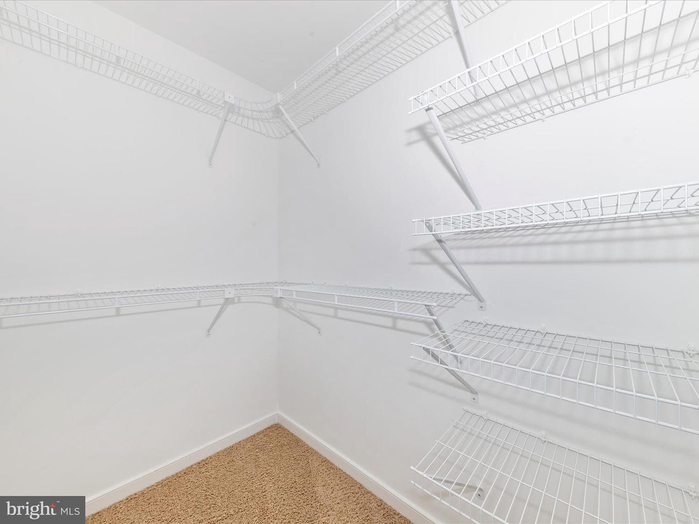 13109 Little Antietam Road photo 24