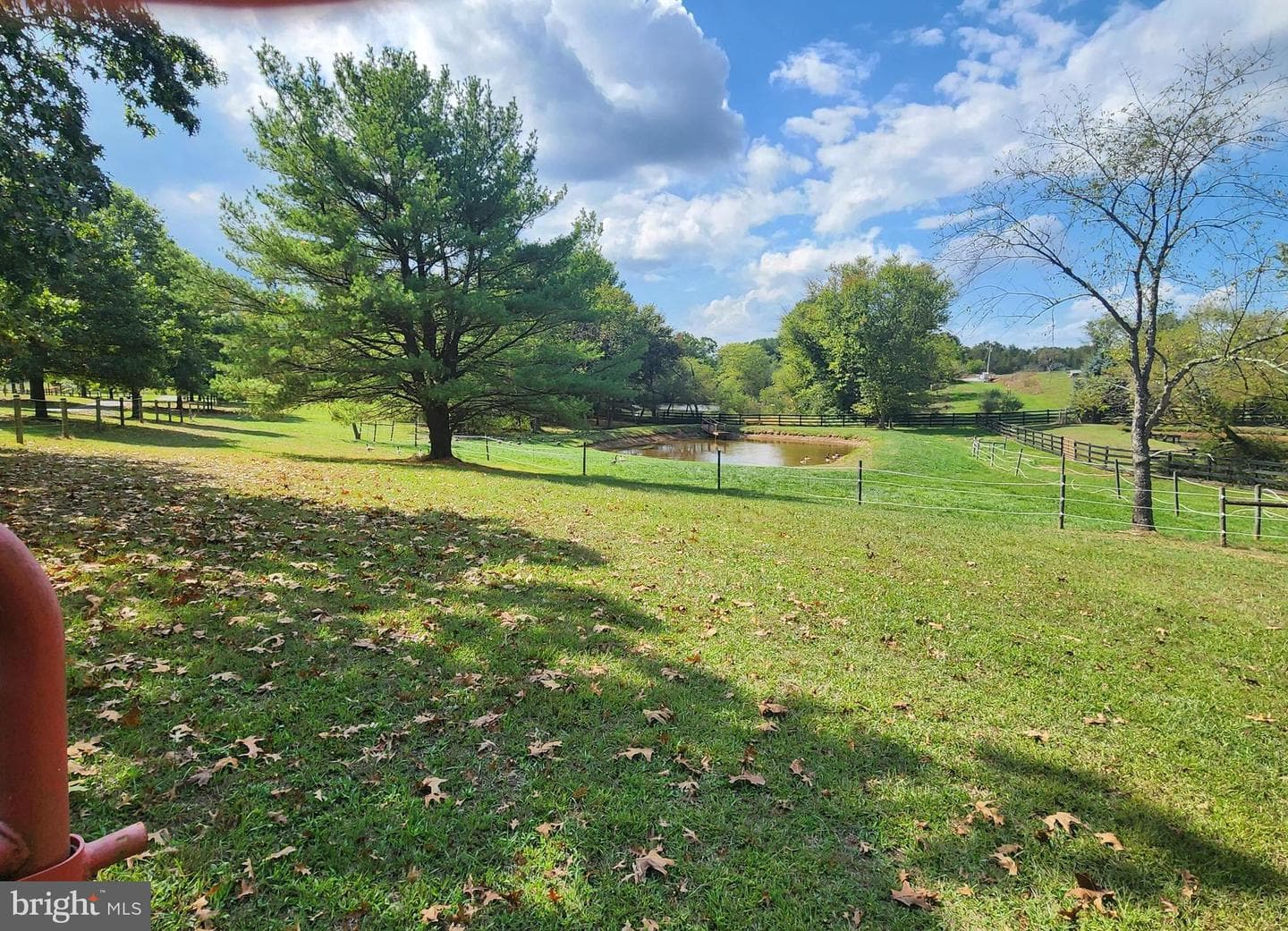 14847 White Oak Ridge photo 44
