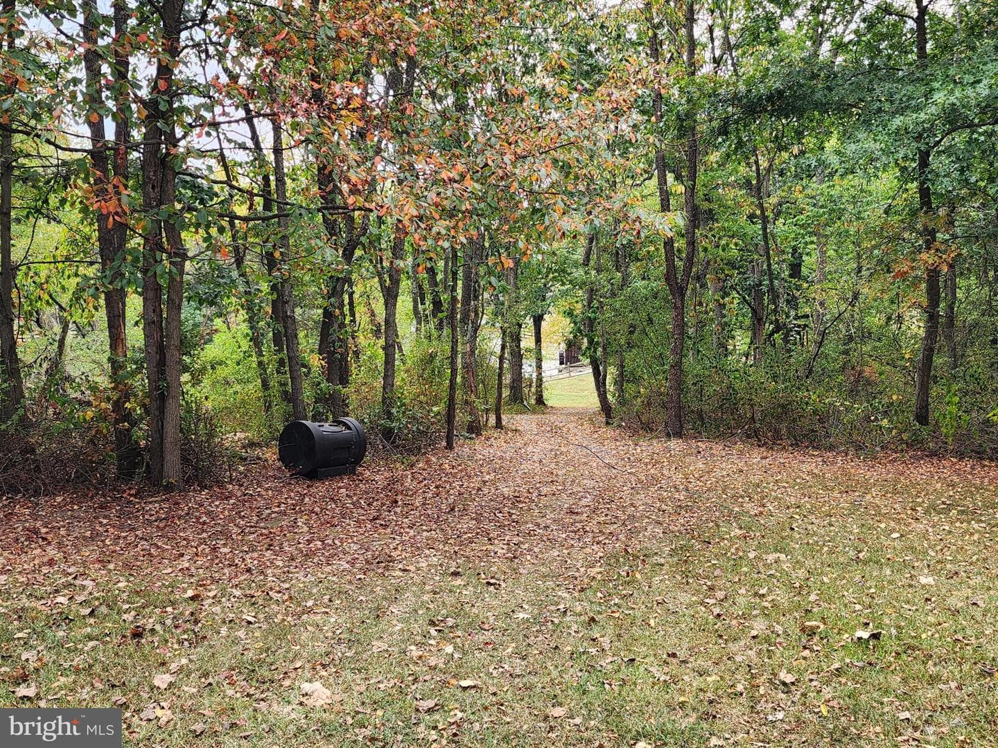 14847 White Oak Ridge photo 59