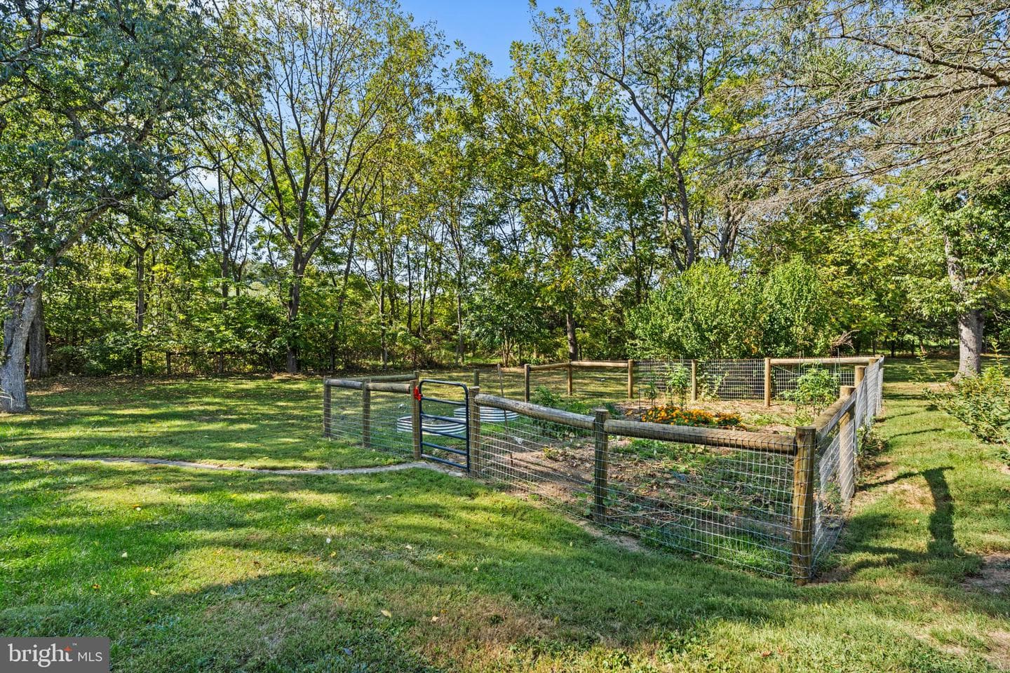 10612 Carter Way photo 51
