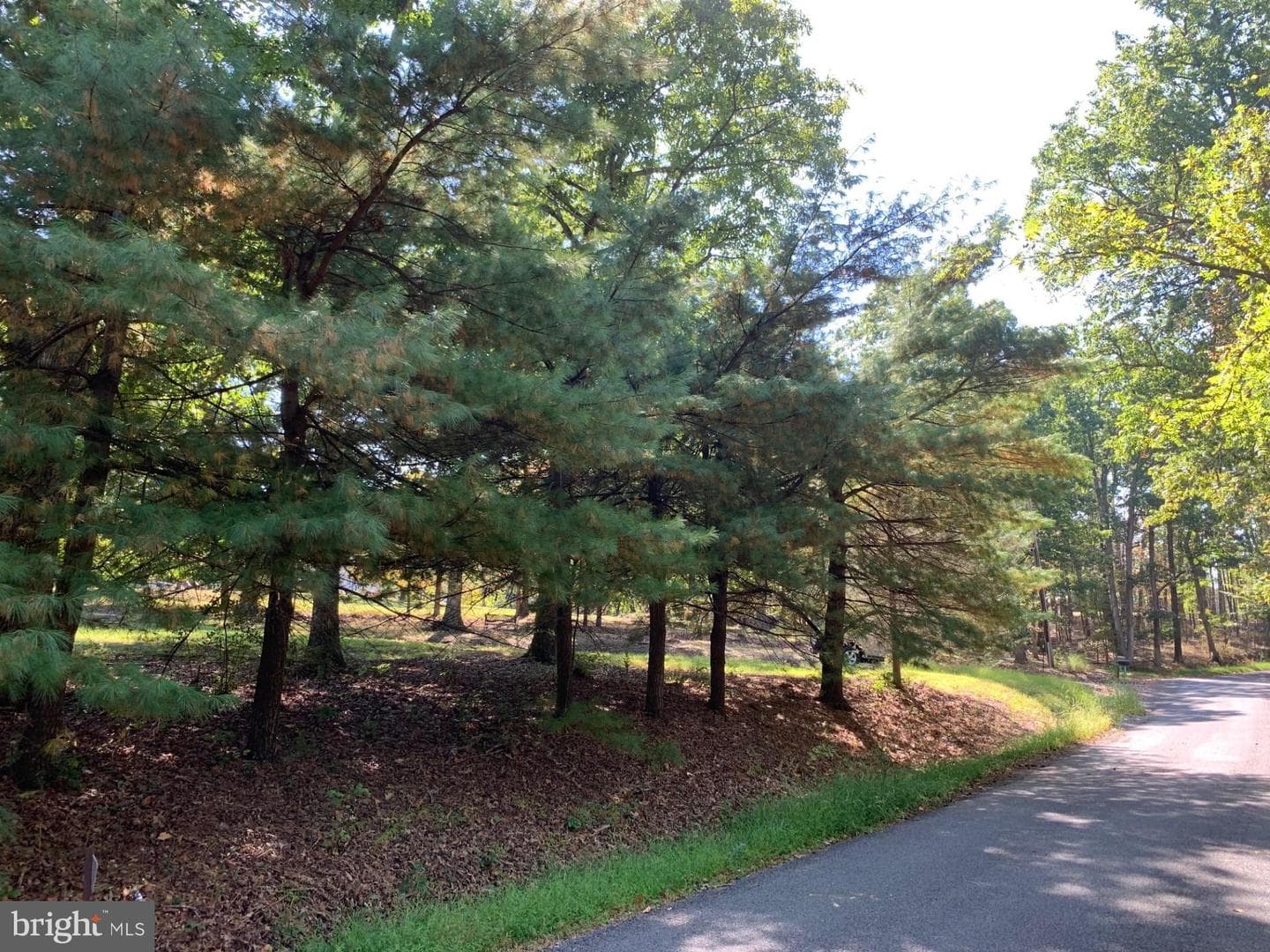 12087 Cove Road photo 3