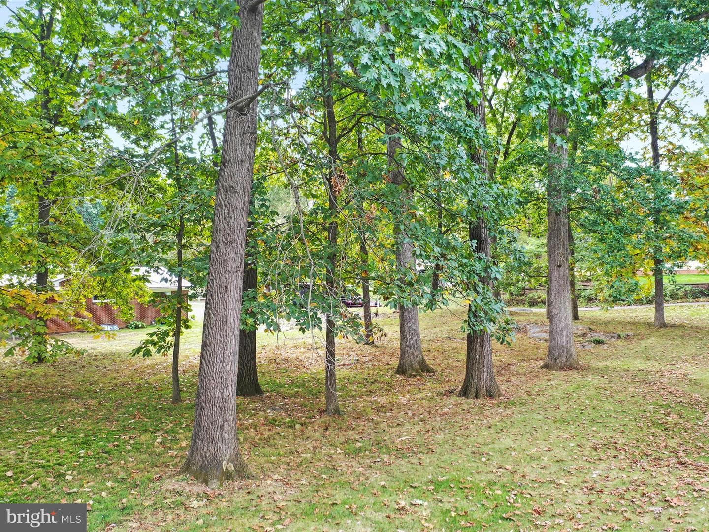 19738 Longmeadow Road photo 67