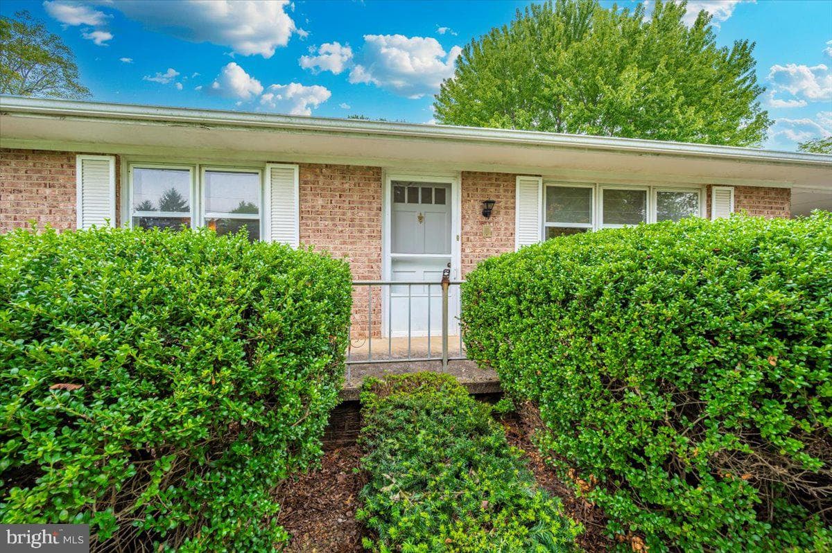 113 Orchard Drive photo 4