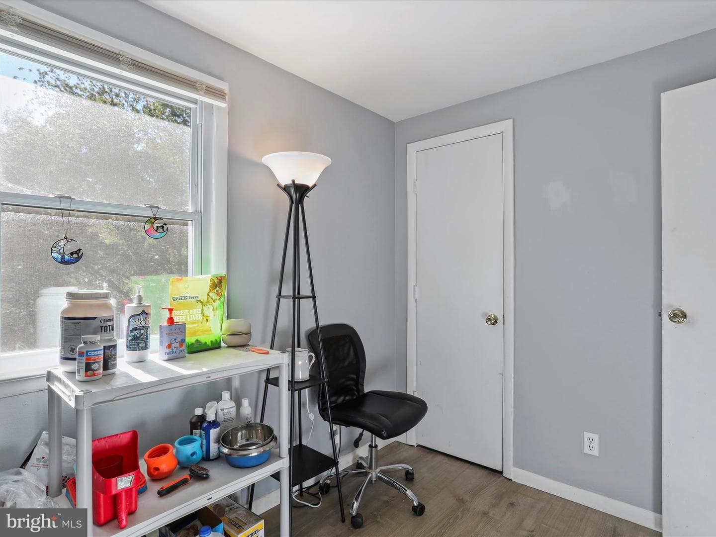 623 Docs Lane photo 49