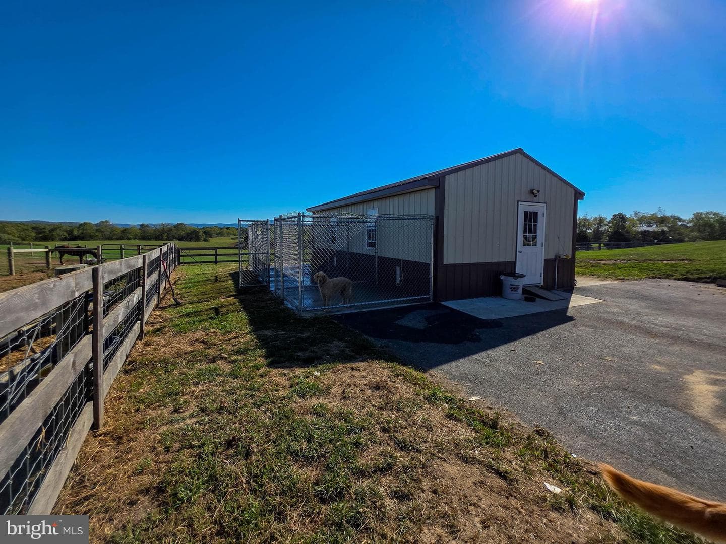 14637 Bain Road photo 7