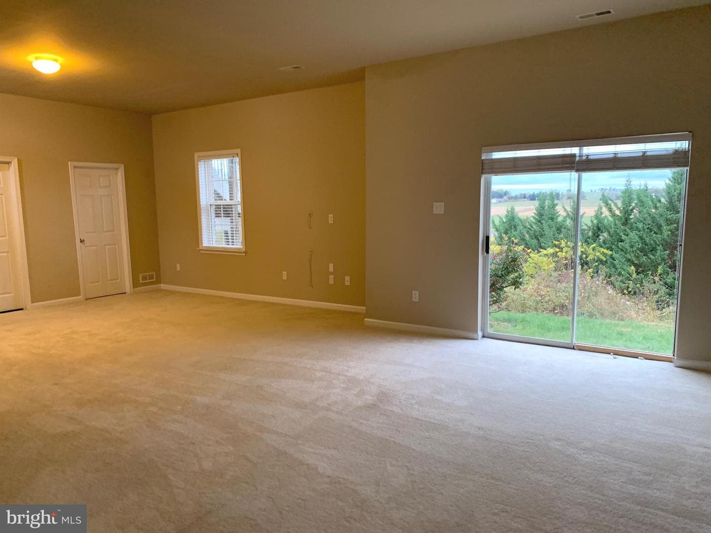 121 Colton Court photo 77