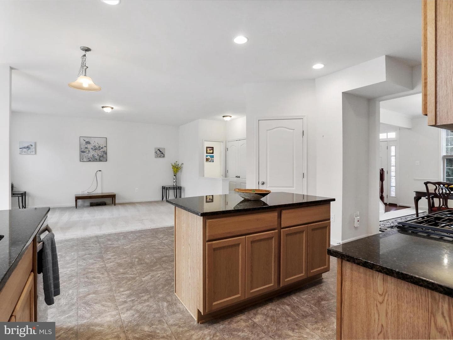 19111 Black Maple Way photo 13