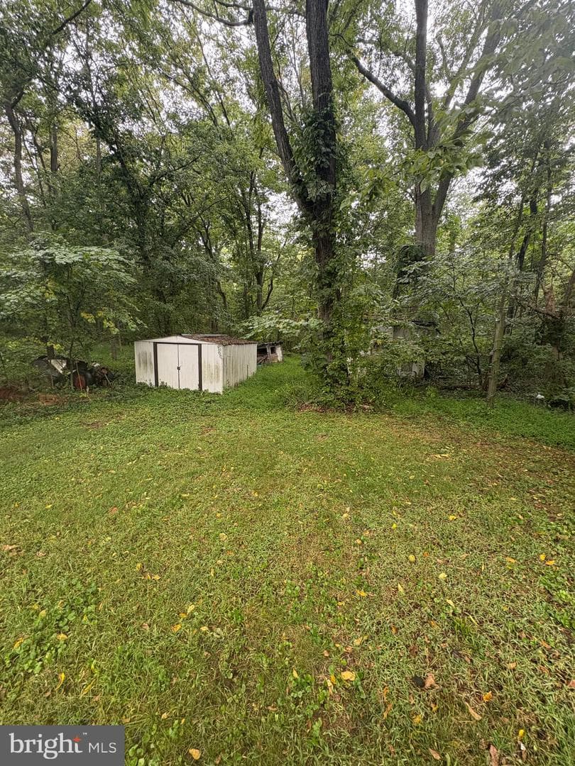 8042 Avis Mill Road photo 18