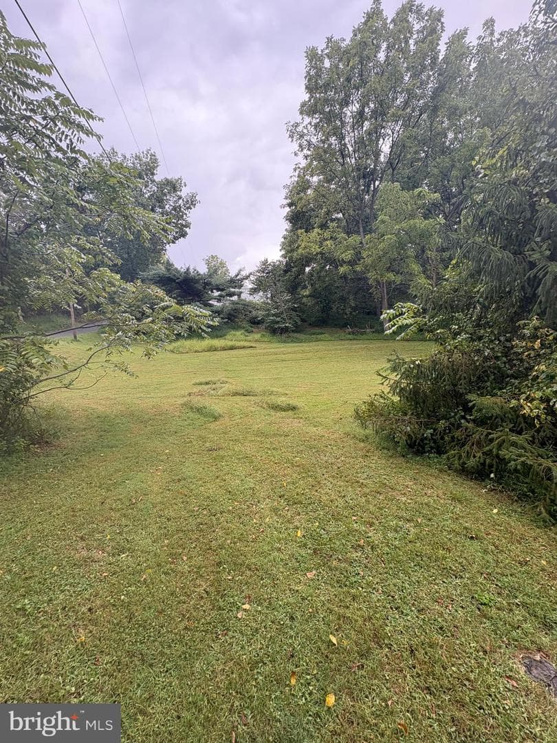 8042 Avis Mill Road photo 20
