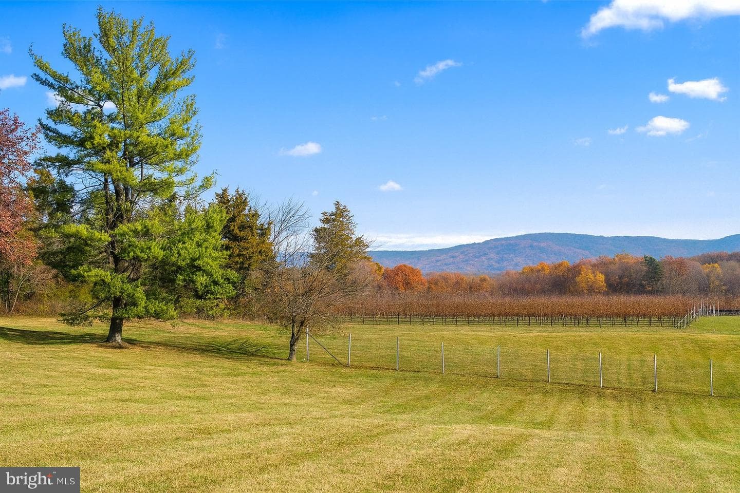 4723 Harpers Ferry Road photo 3