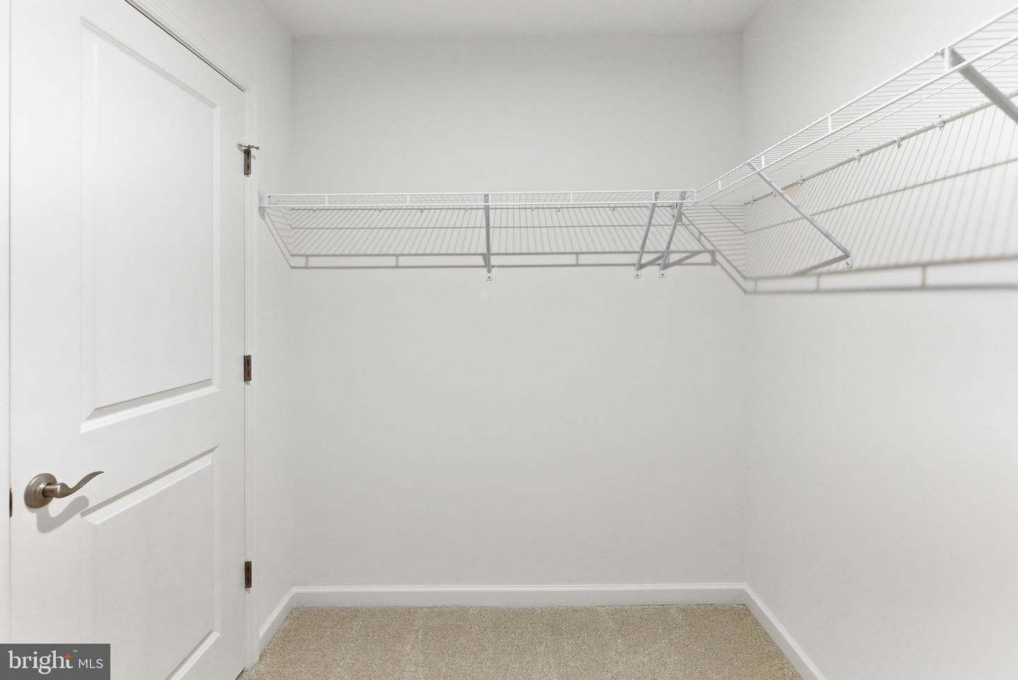 13352 Snapdragon Way photo 14