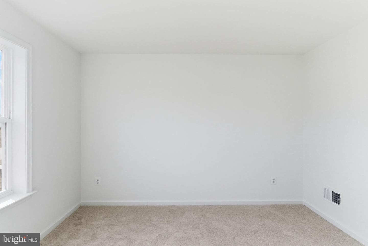 13352 Snapdragon Way photo 18