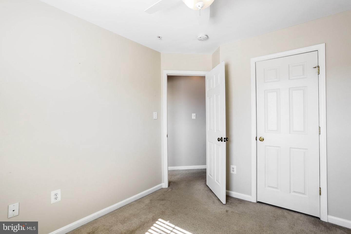 310 Green Fern Circle photo 21