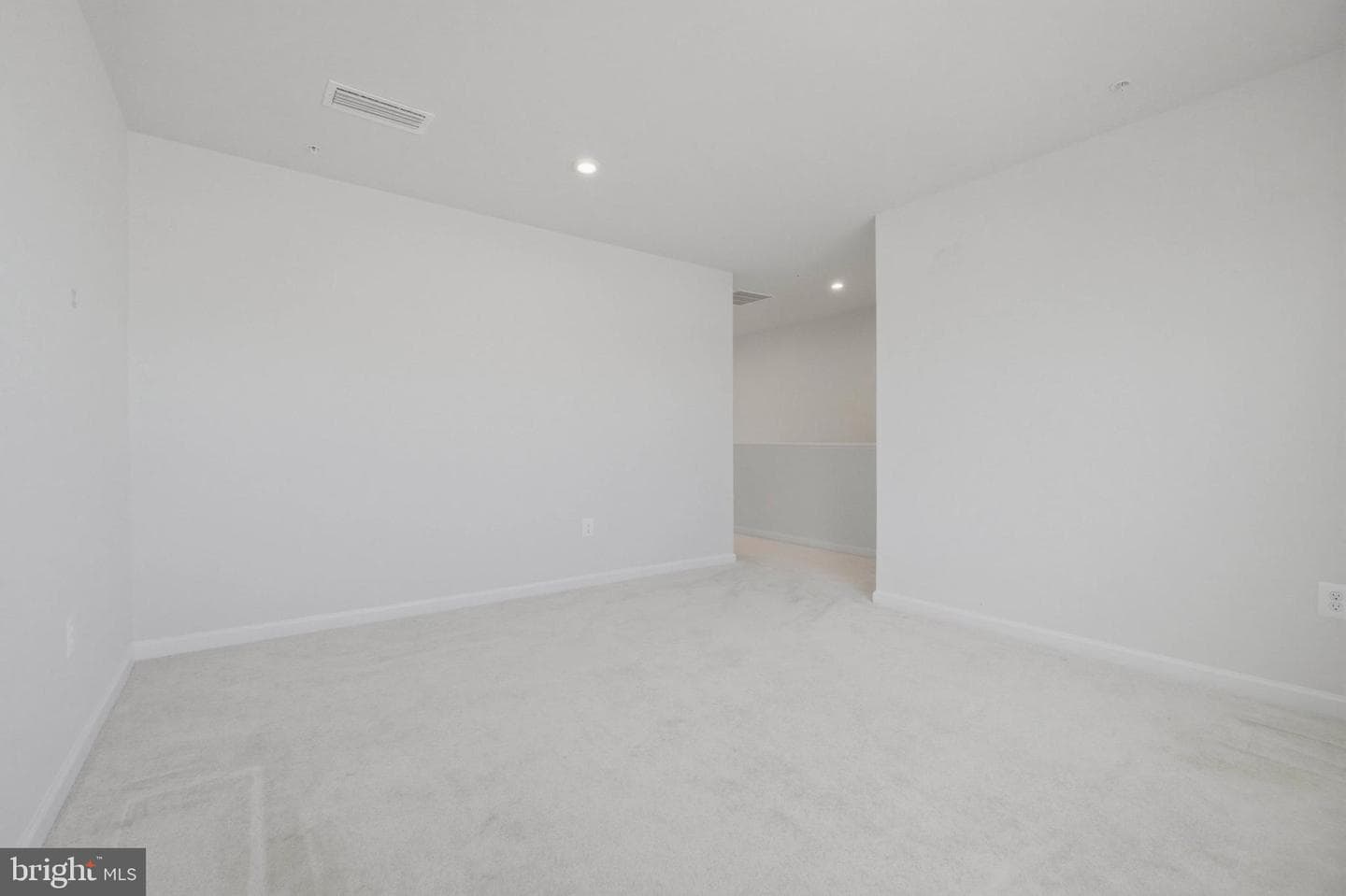103 Charlotte Street photo 11