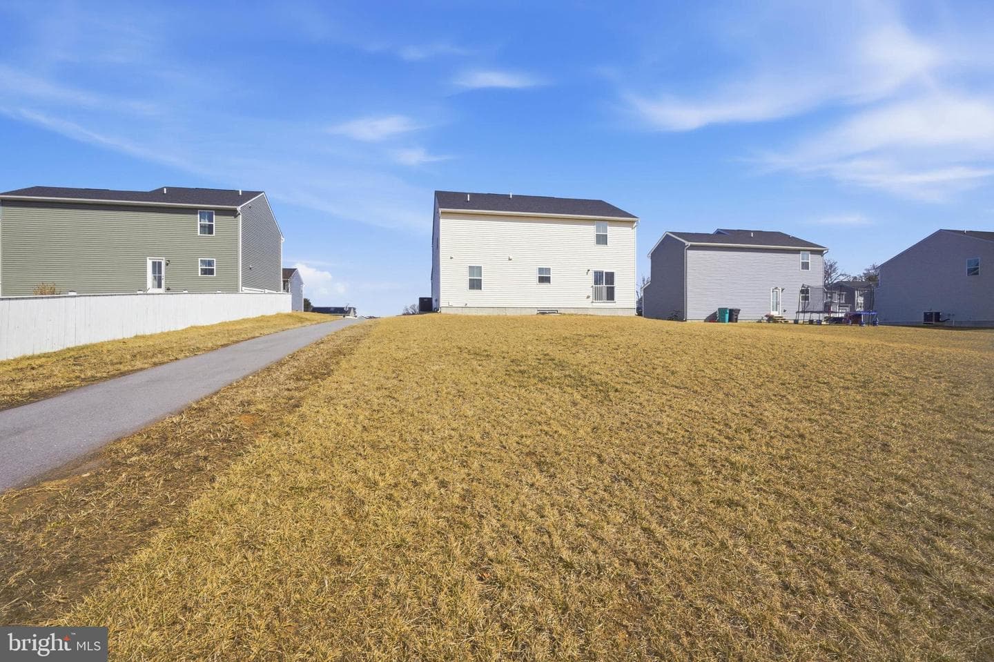 103 Charlotte Street photo 24