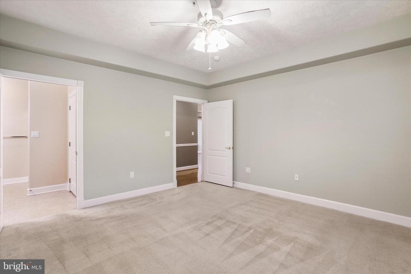 13145 Little Hayden Circle photo 23