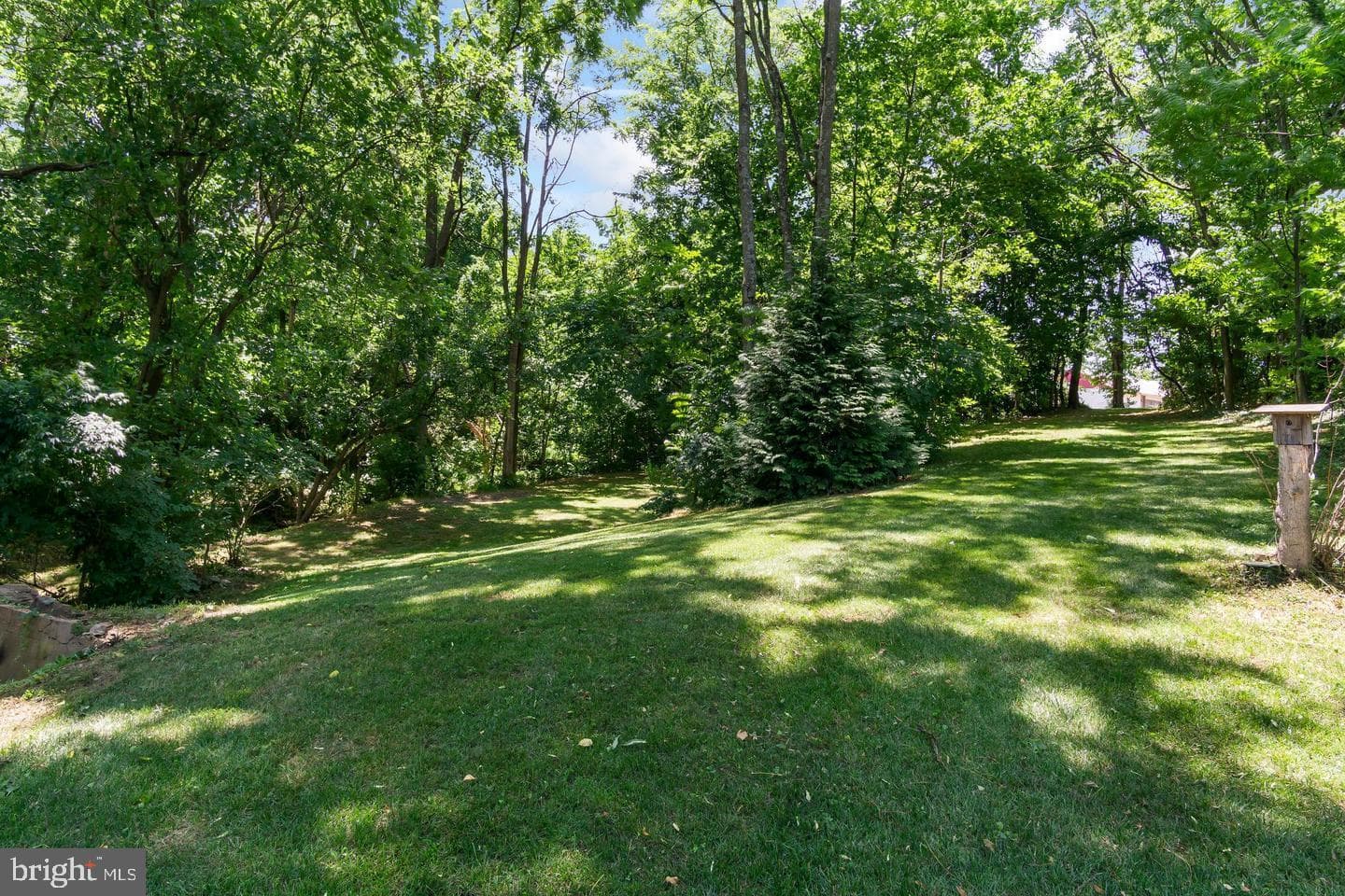 4312 Main Street photo 48