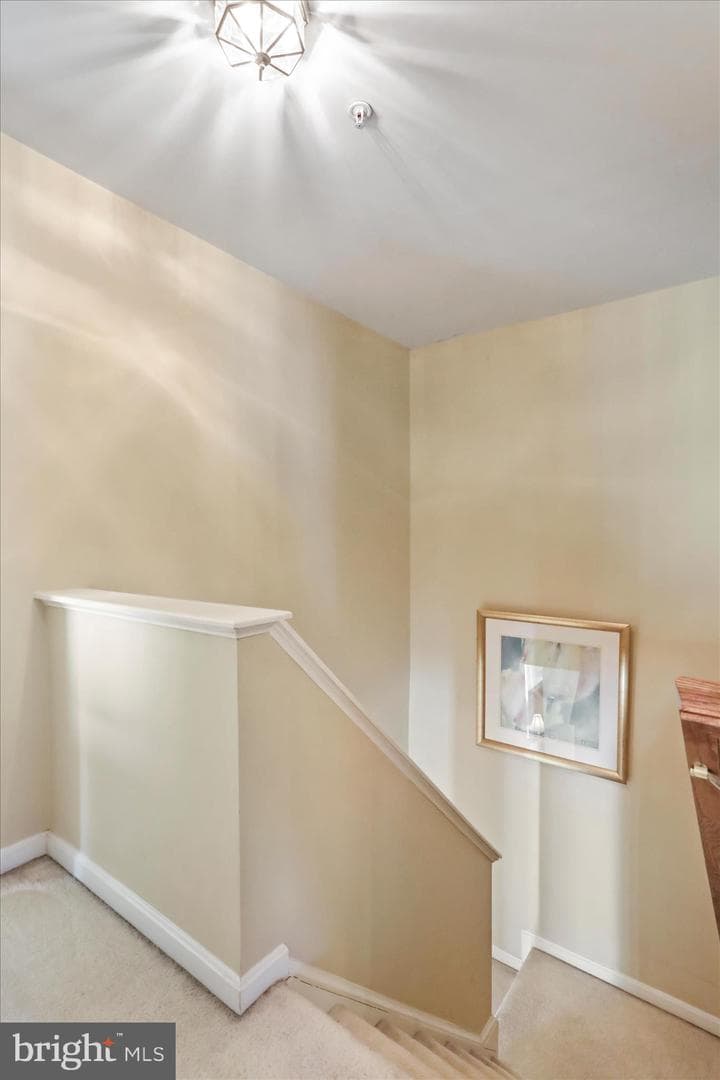 125 Brynwood Street photo 20