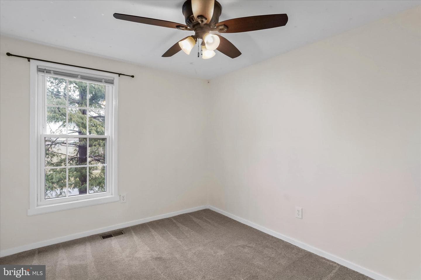244 Lily Court photo 22