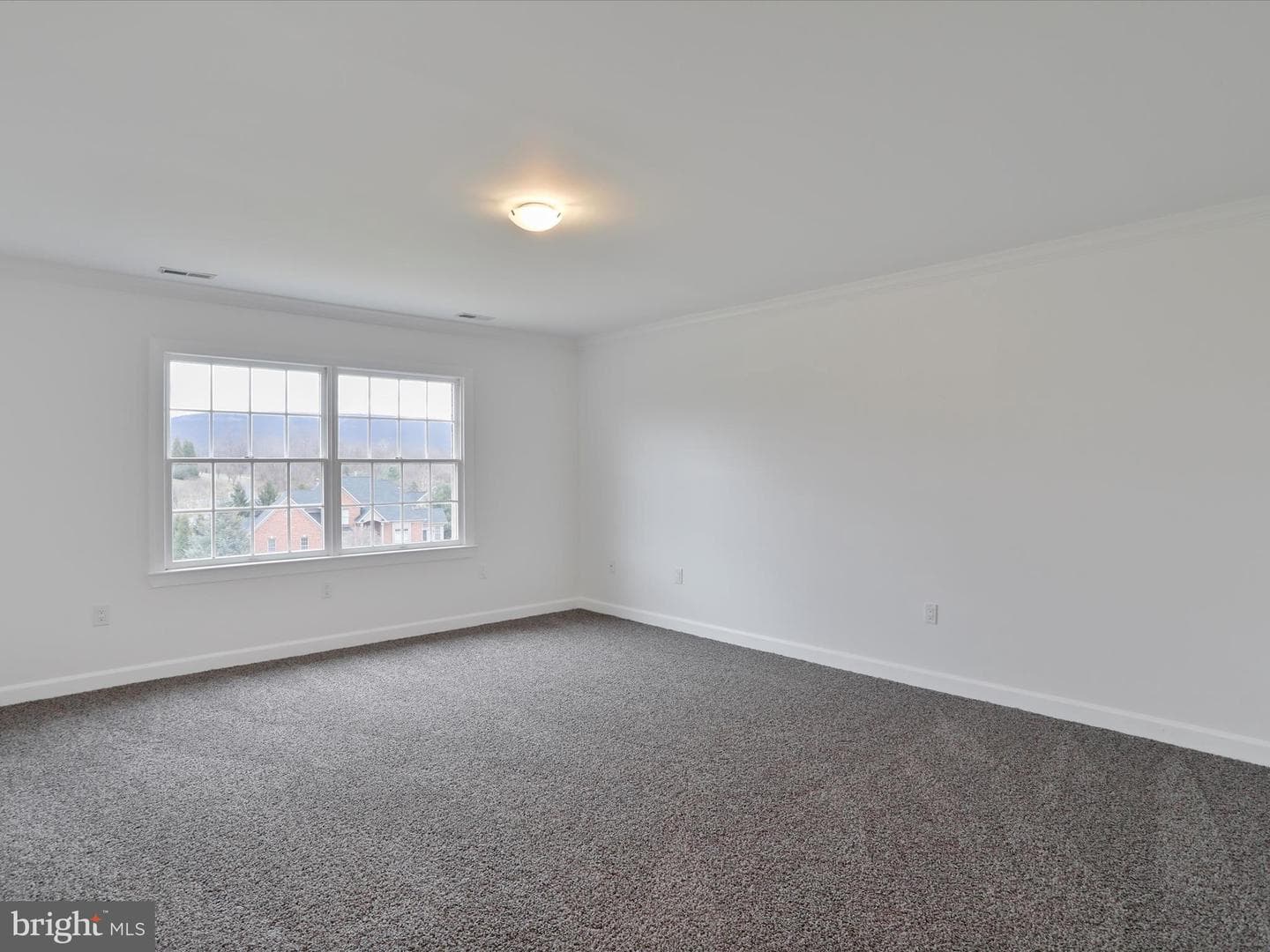9812 Pembroke Drive photo 13