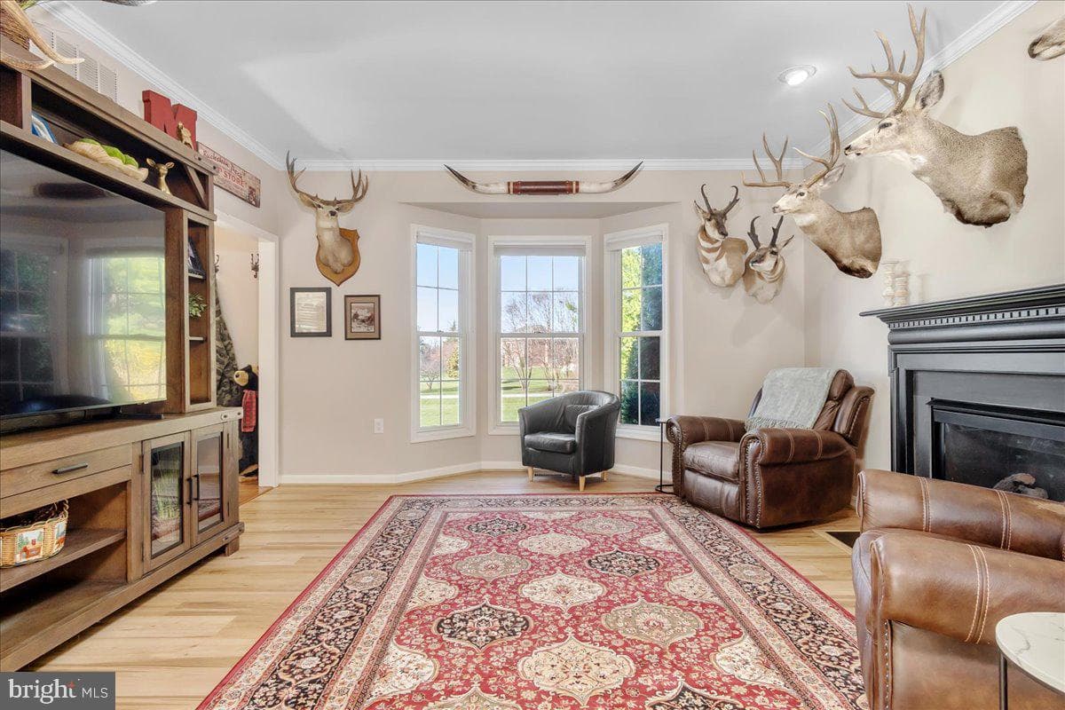 20376 Splendor View Terrace photo 15