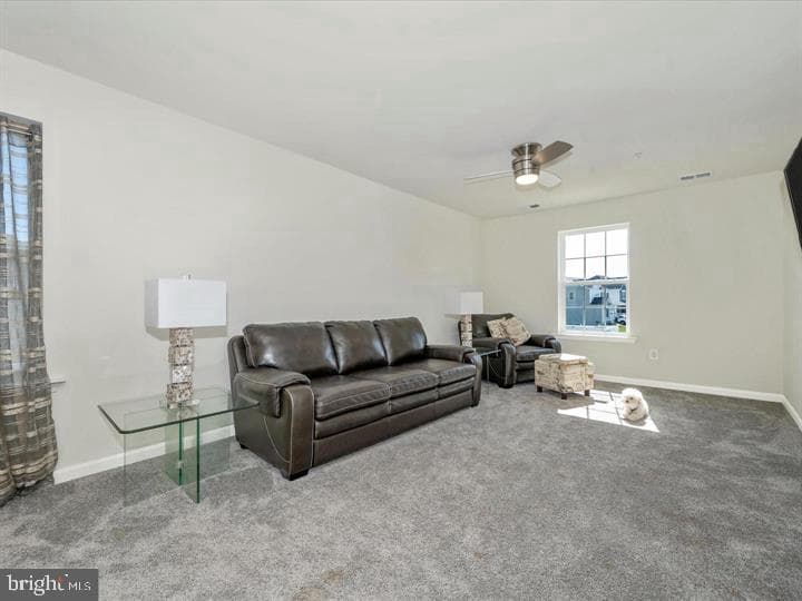 12661 Barton Drive photo 18