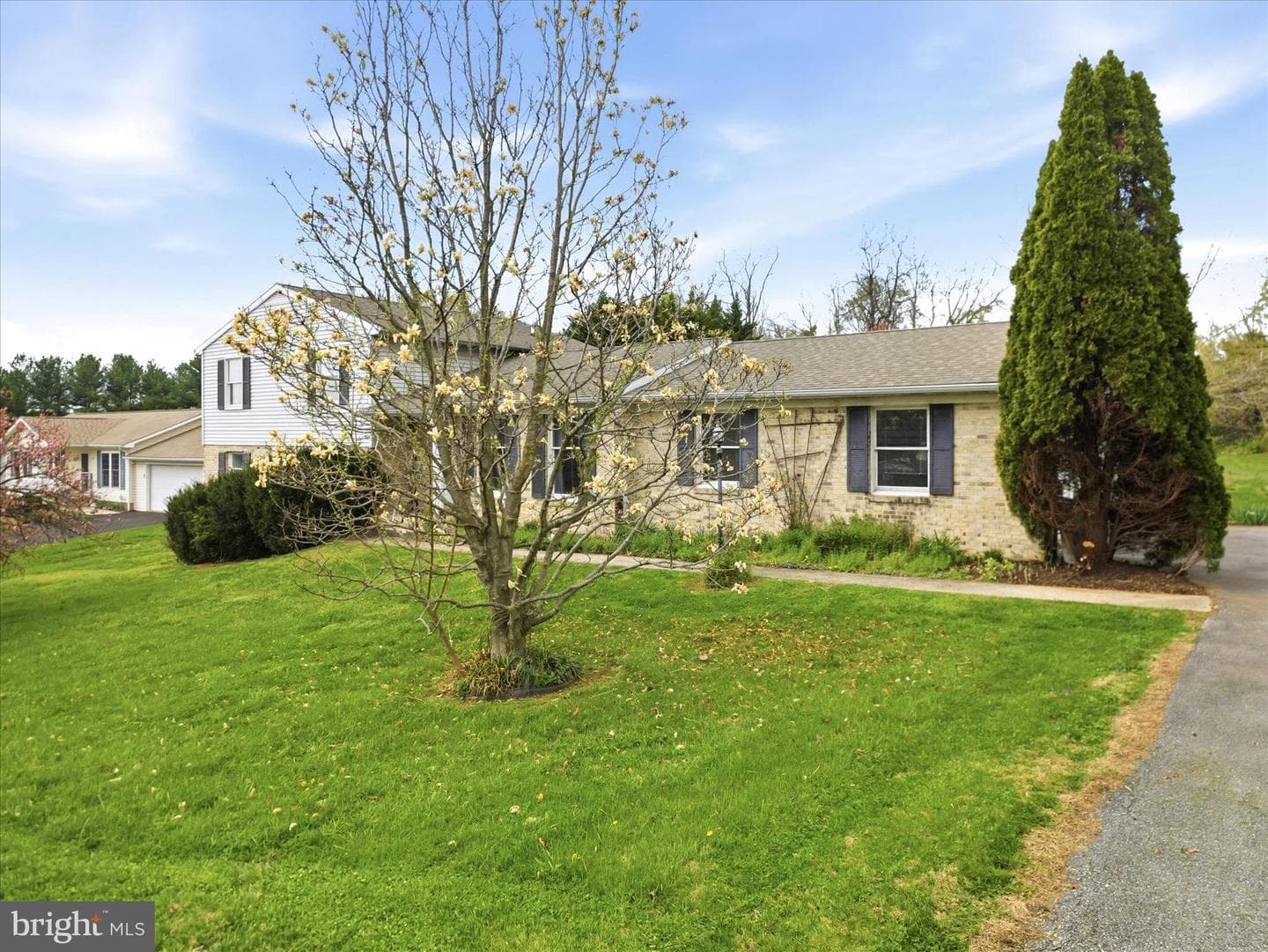 8 Taylor Drive photo 3