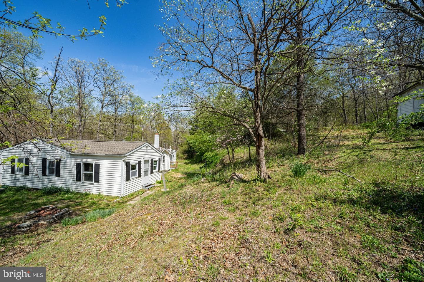 10635 Crystal Falls Drive photo 13