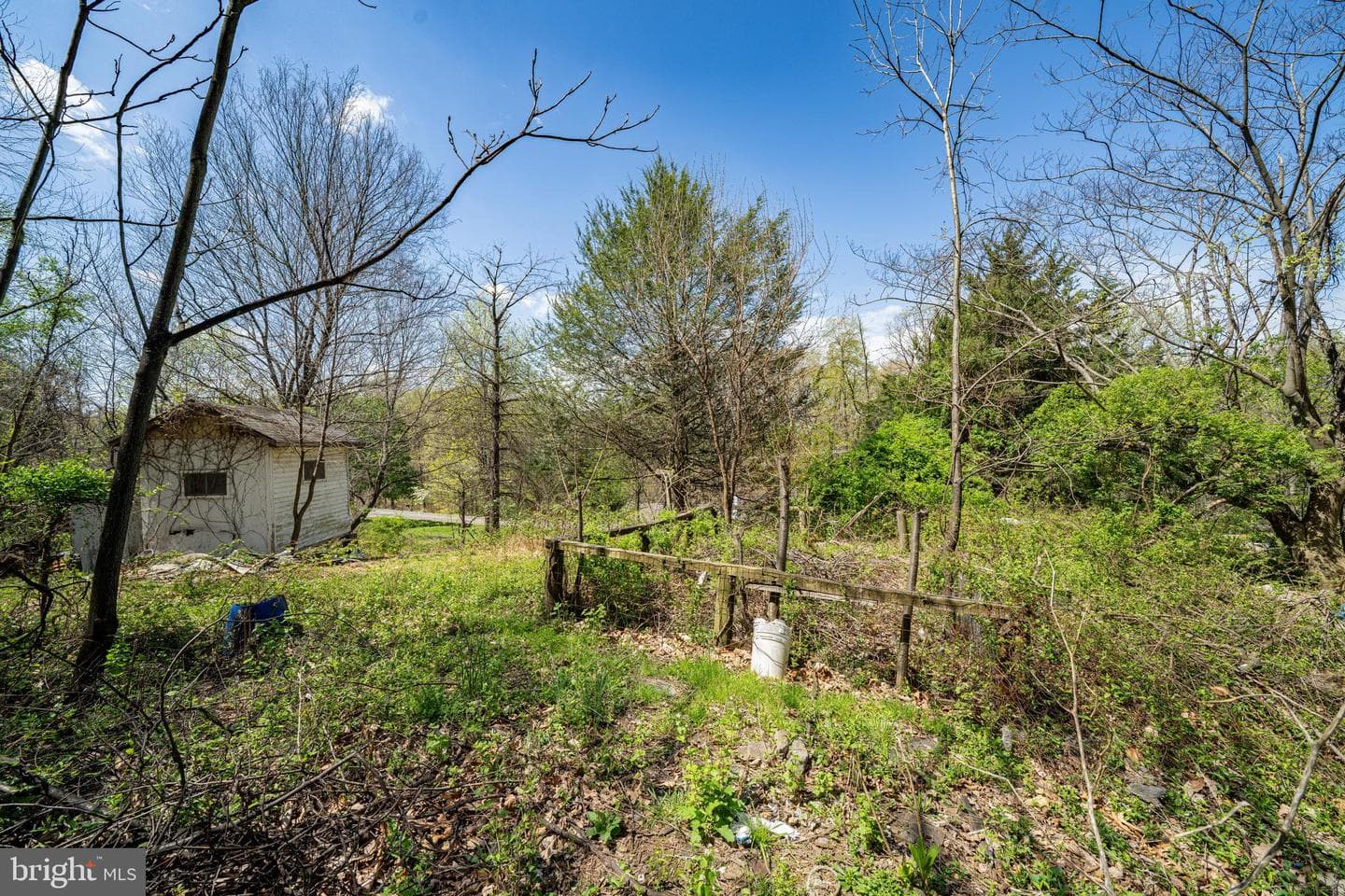 10635 Crystal Falls Drive photo 15
