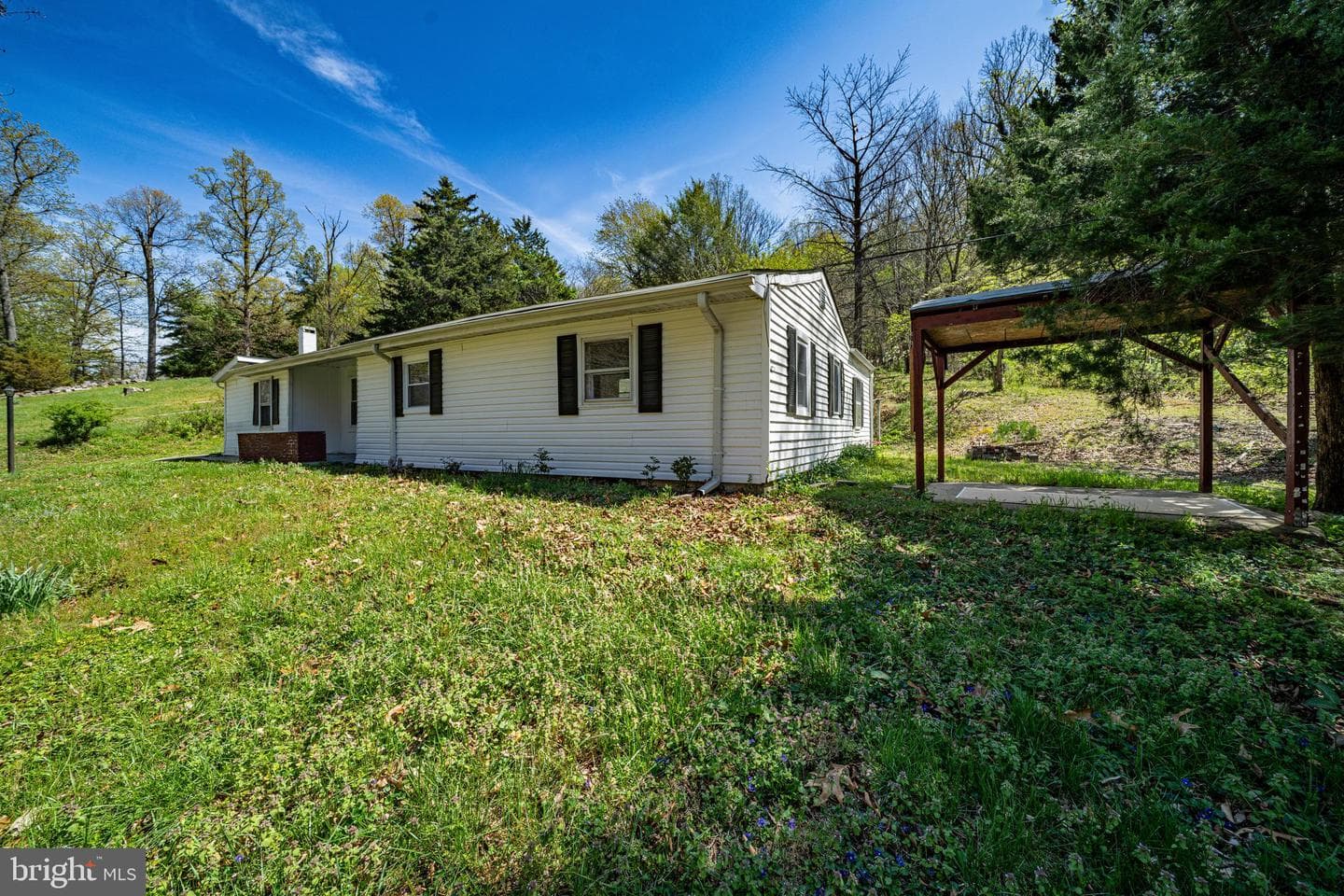 10635 Crystal Falls Drive photo 6