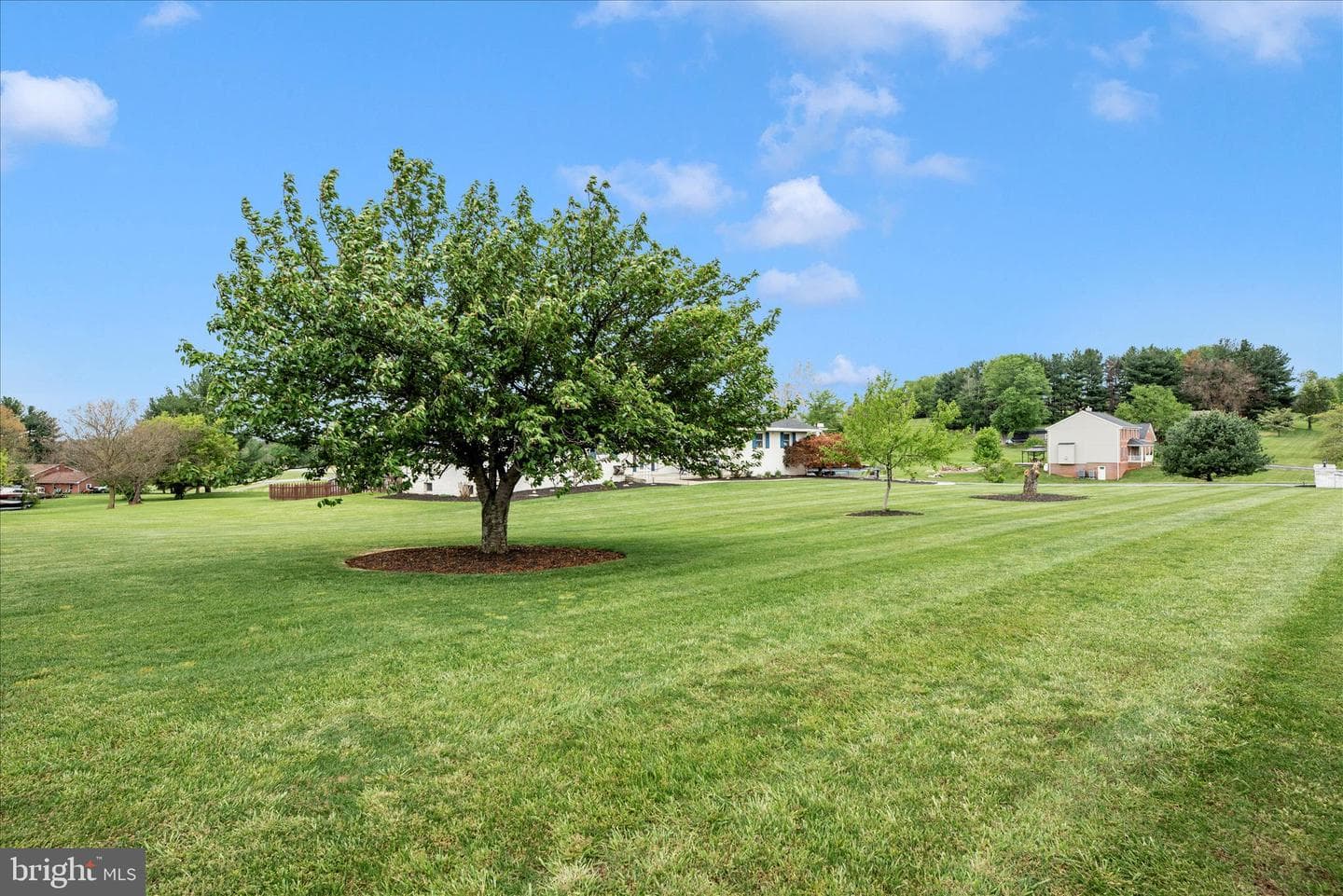 19845 Toms Road photo 51