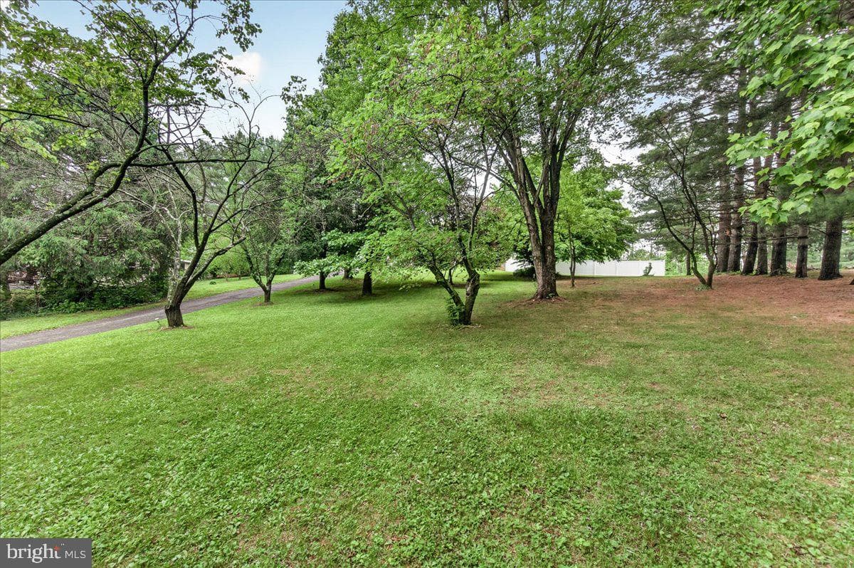 7741 Mcclellan Avenue photo 30