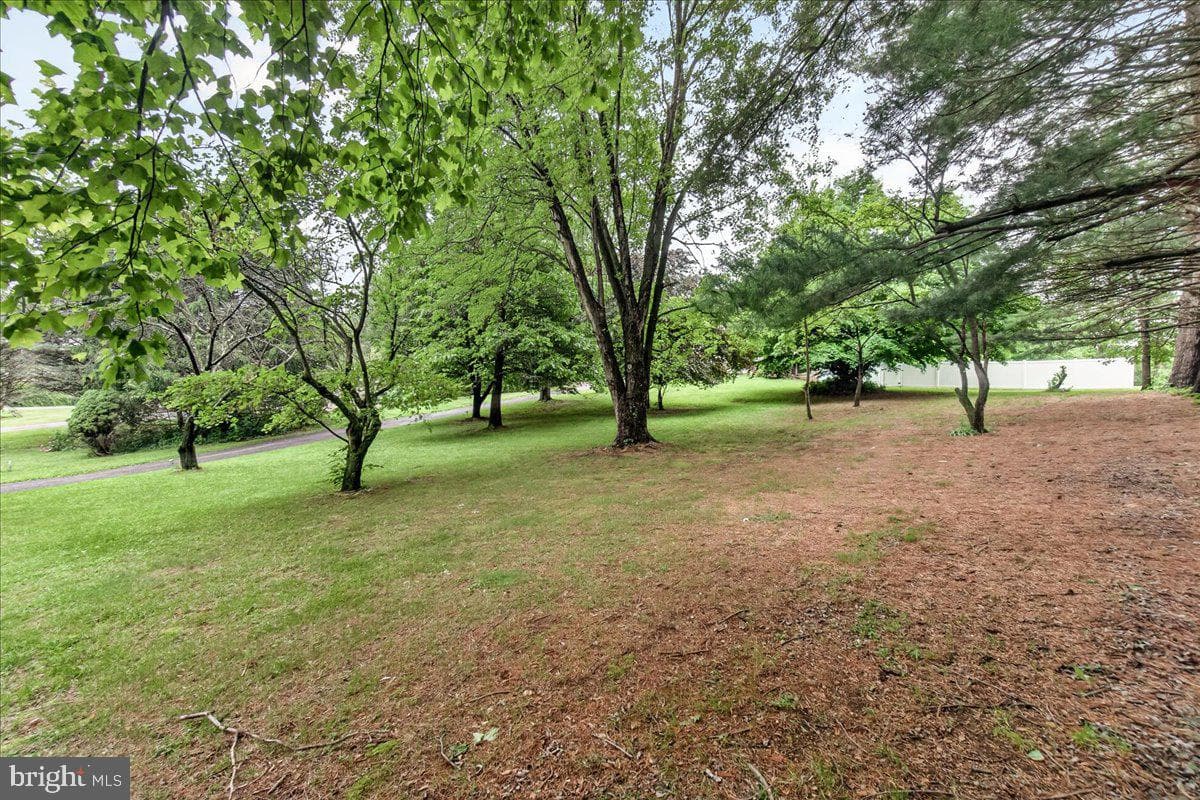 7741 Mcclellan Avenue photo 31