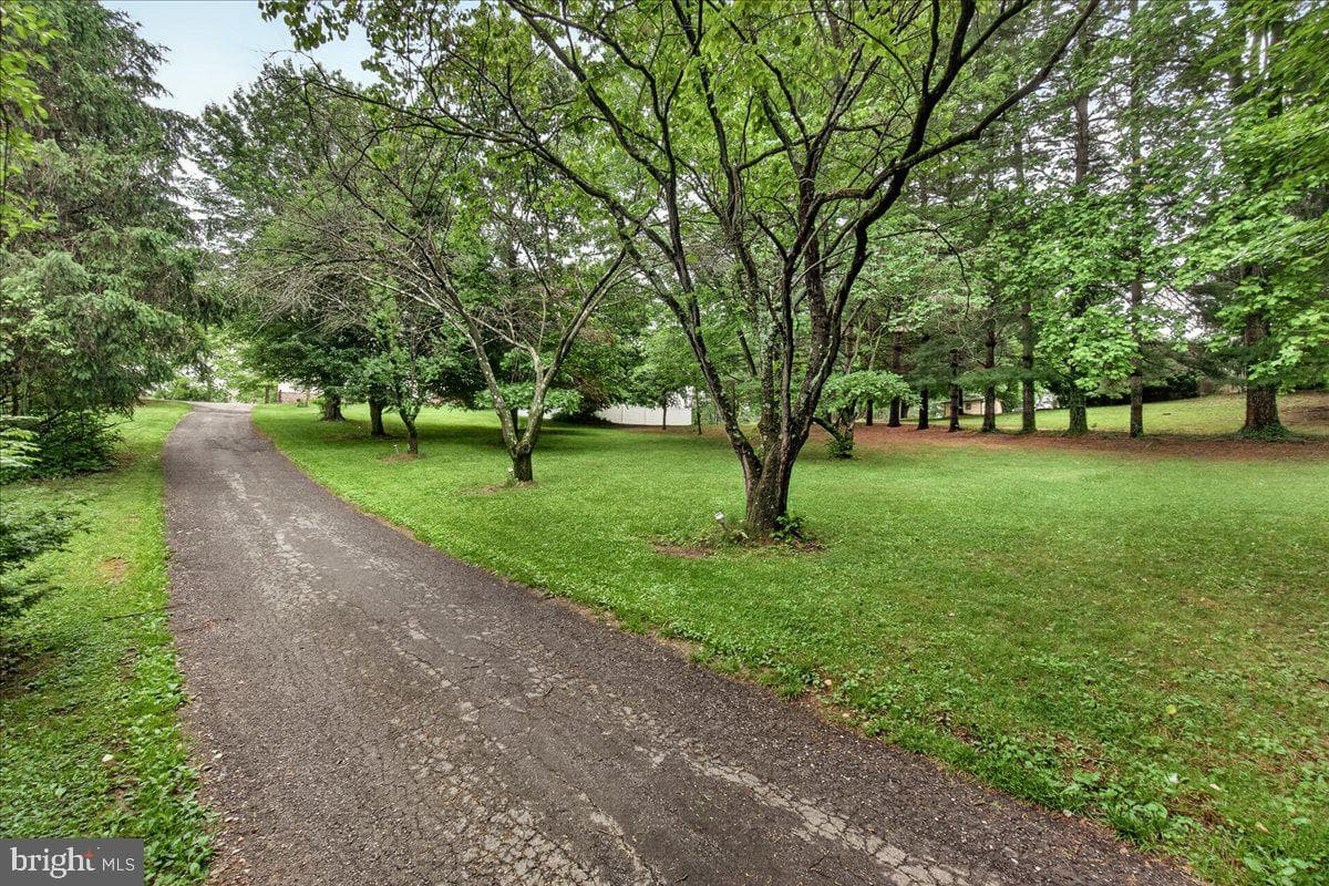 7741 Mcclellan Avenue photo 42