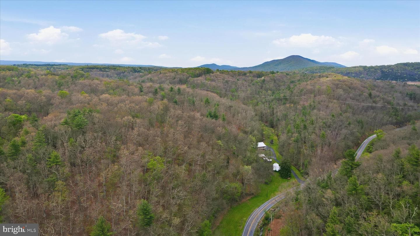13834 Hollow Road photo 41