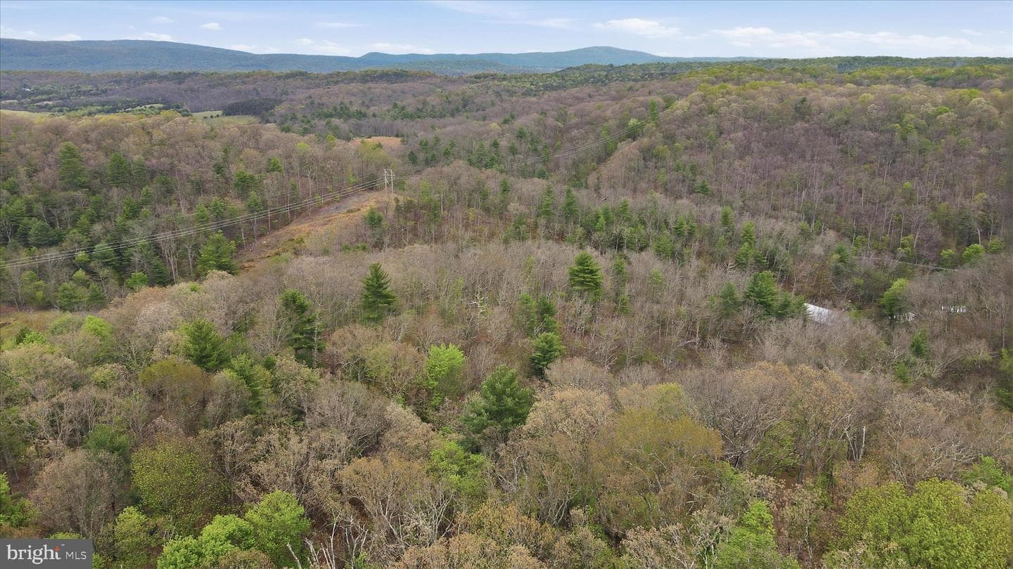13834 Hollow Road photo 48