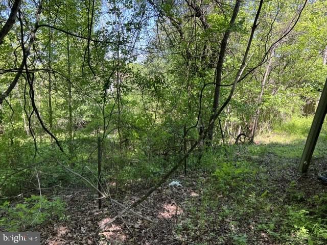 21410 Swope Road photo 4