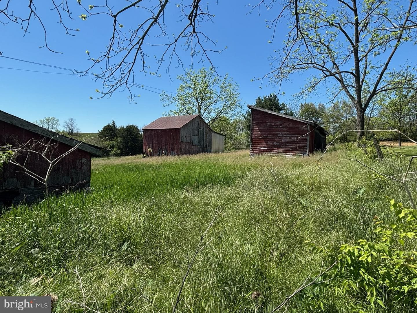 15225 Fairview Road photo 43