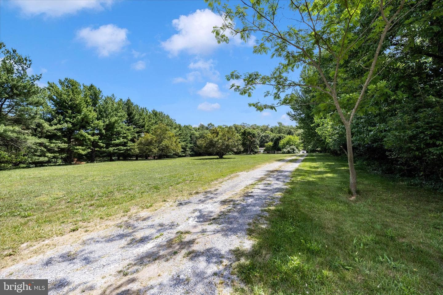 9607 Crystal Falls Drive photo 48
