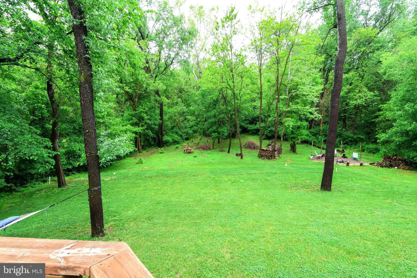 16919 Shaffer Road photo 46