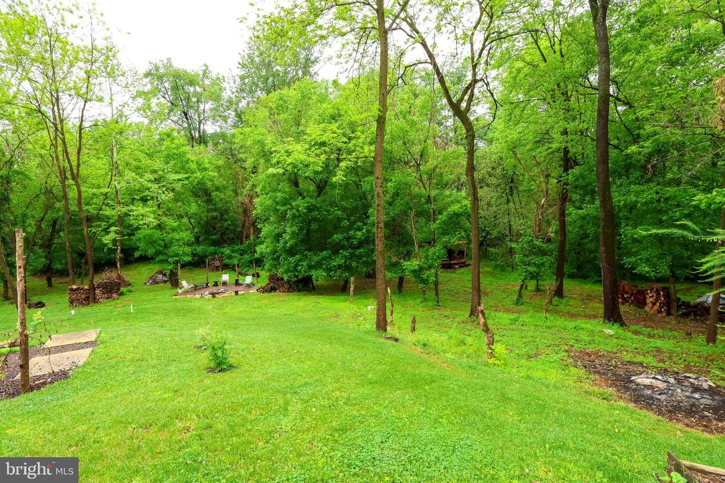 16919 Shaffer Road photo 48