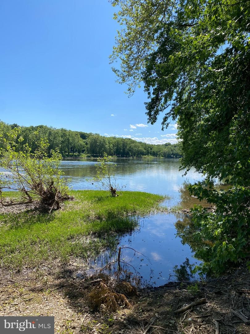 17416 Millers Sawmill Road photo 8