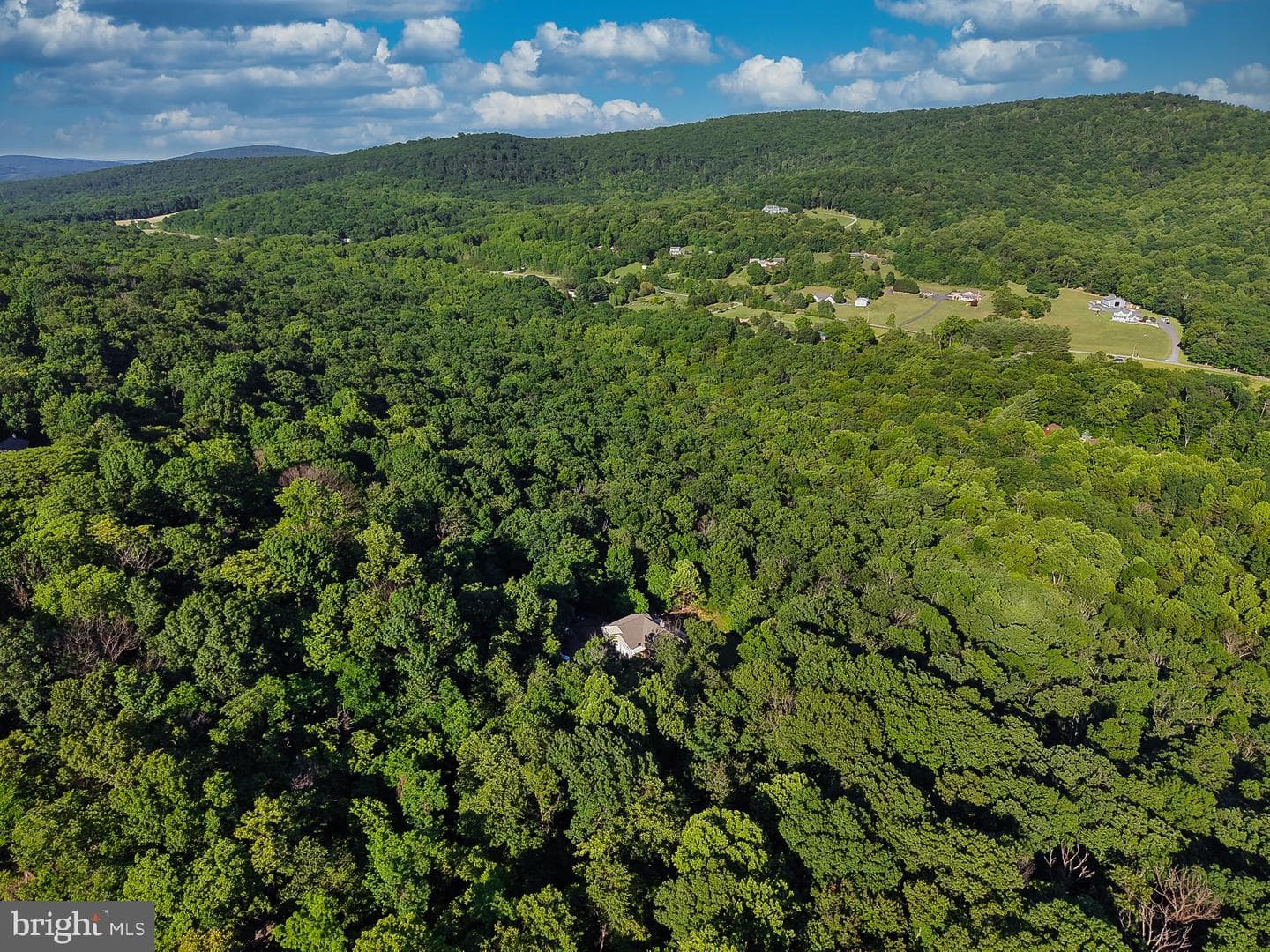 3310 Hawks Hill Ln photo 58