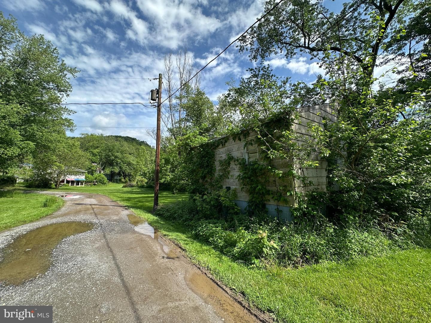 13726 Hopps Landing Rd photo 50