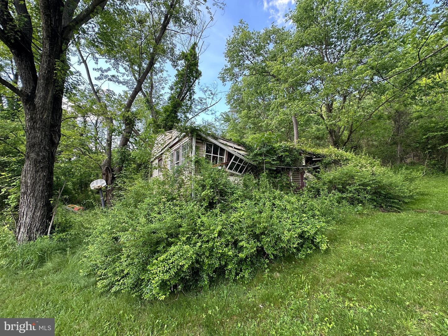 13726 Hopps Landing Rd photo 57